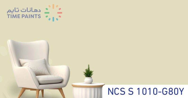 NCS S 1010-G80Y