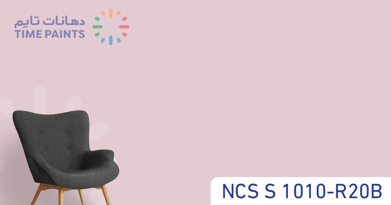 NCS S 1010-R20B