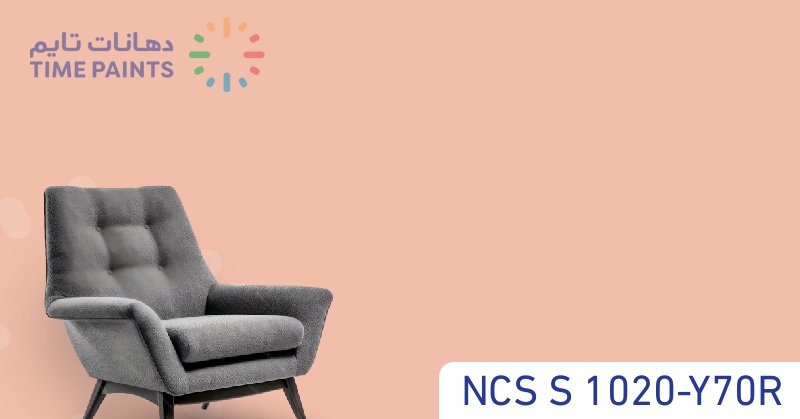 NCS S 1020-Y70R
