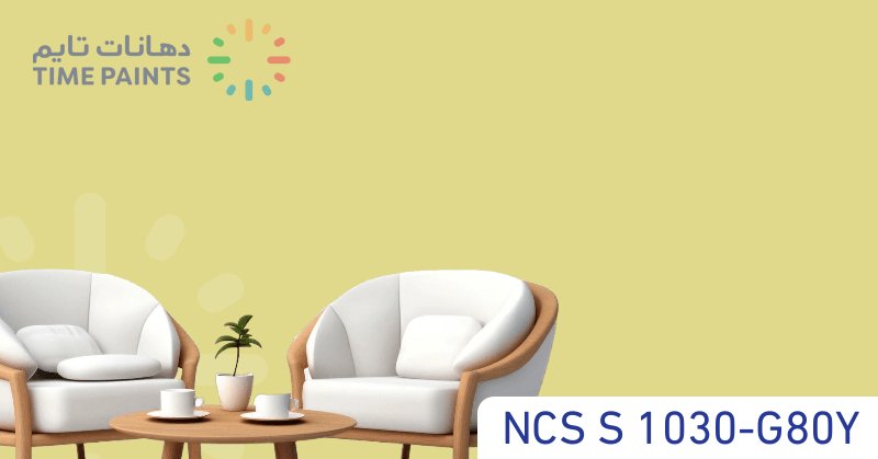NCS S 1030-G80Y