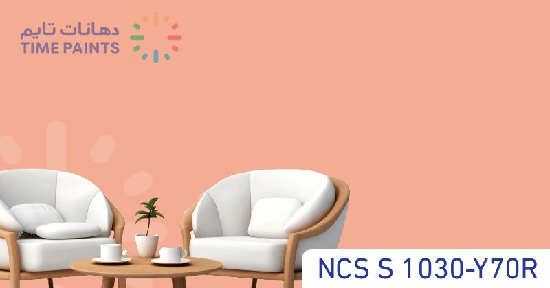 NCS S 1030-Y70R