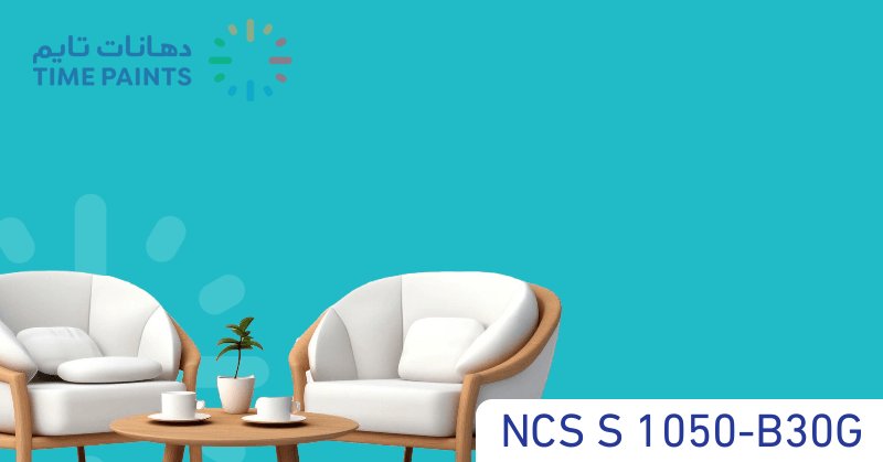 NCS S 1050-B30G