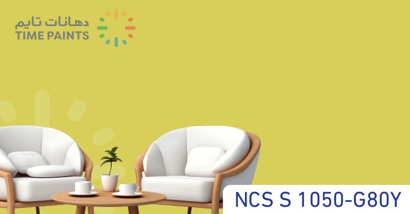 NCS S 1050-G80Y