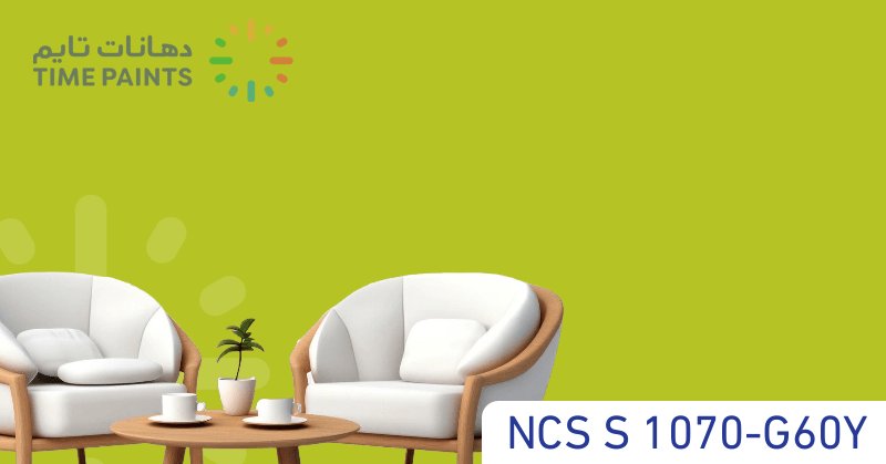 NCS S 1070-G60Y