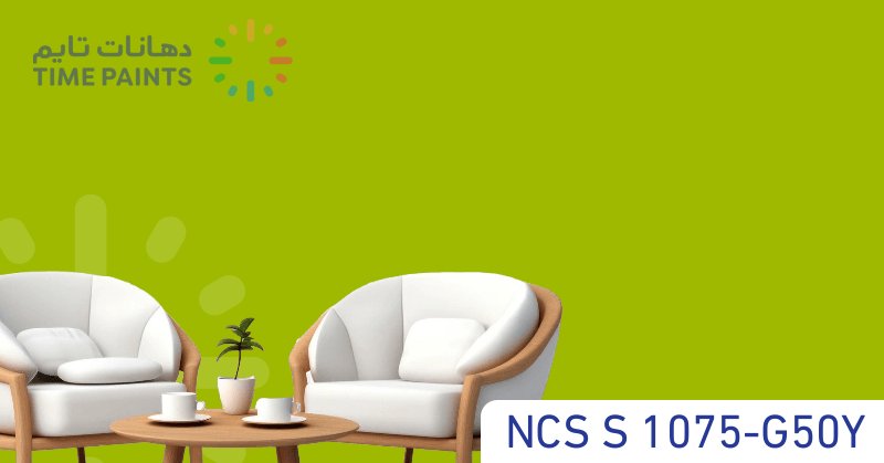 NCS S 1075-G50Y