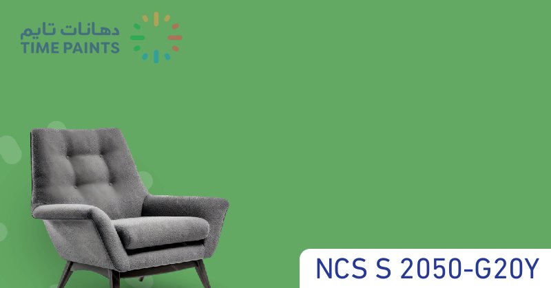 NCS S 2050-G20Y