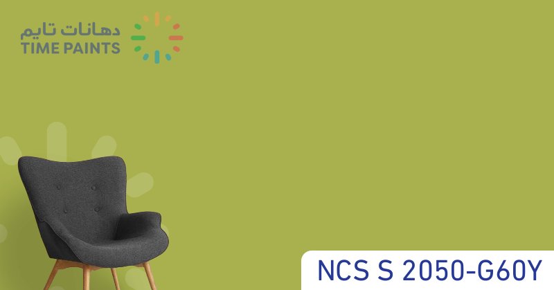 NCS S 2050-G60Y