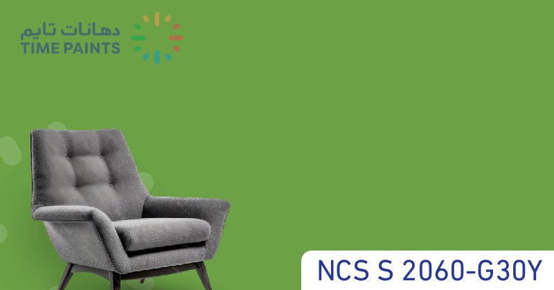 NCS S 2060-G30Y
