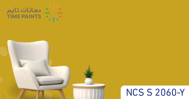 NCS S 2060-Y