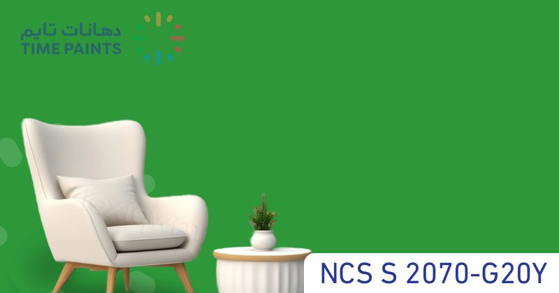 NCS S 2070-G20Y
