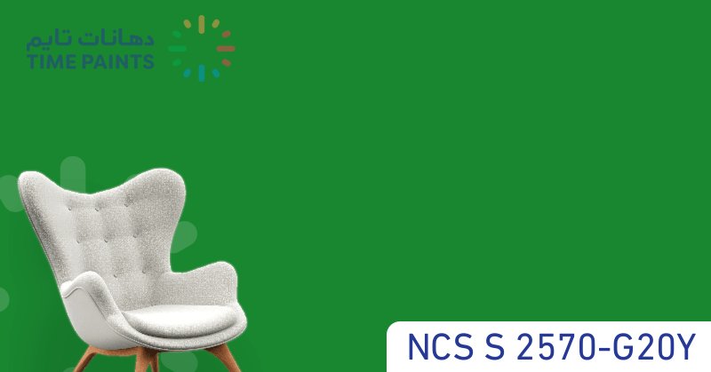 NCS S 2570-G20Y