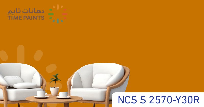 NCS S 2570-Y30R