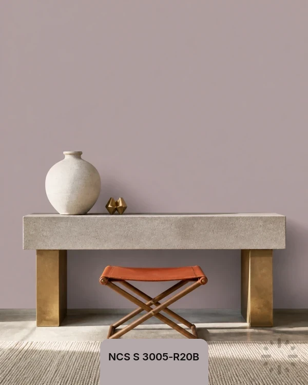 NCS S 3005-R20B color from Time Paints