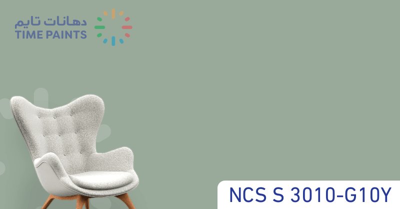 NCS S 3010-G10Y