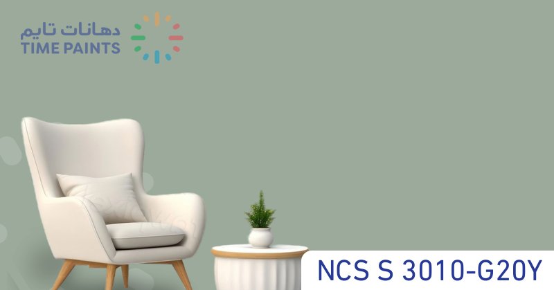 NCS S 3010-G20Y