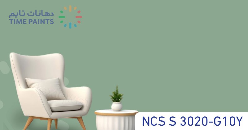 NCS S 3020-G10Y