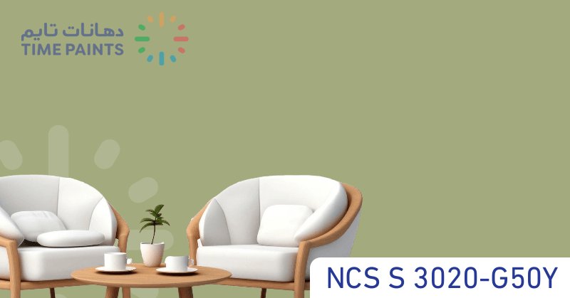 NCS S 3020-G50Y