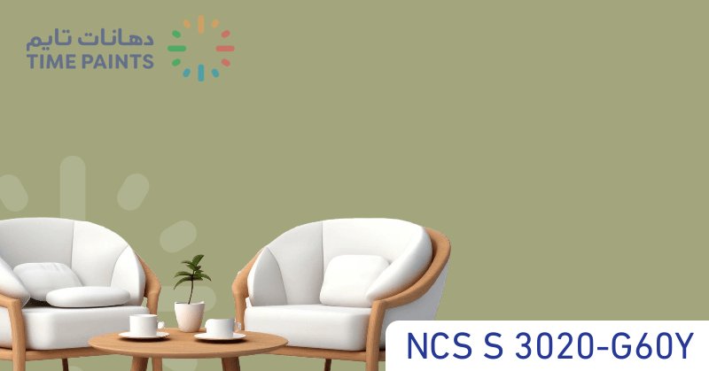 NCS S 3020-G60Y