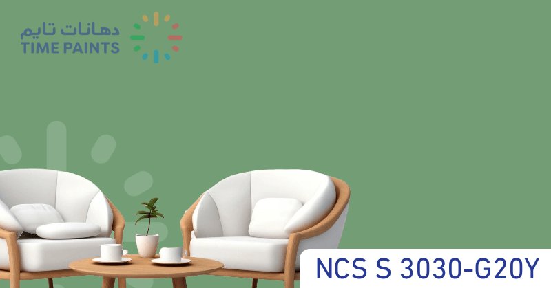 NCS S 3030-G20Y