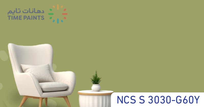NCS S 3030-G60Y