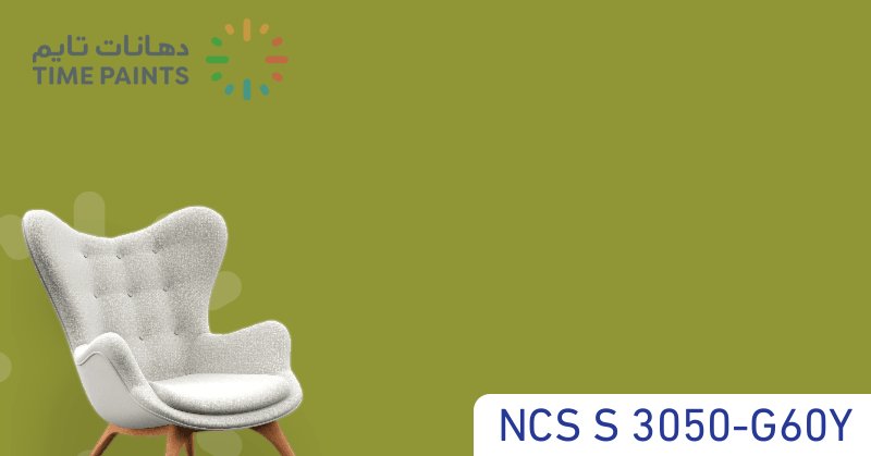 NCS S 3050-G60Y