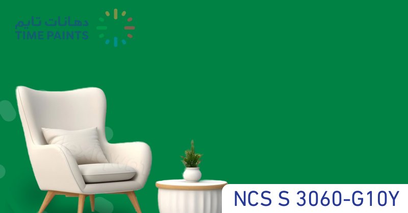 NCS S 3060-G10Y