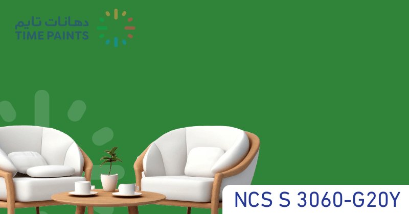 NCS S 3060-G20Y