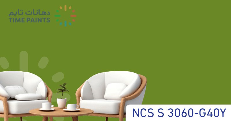 NCS S 3060-G40Y