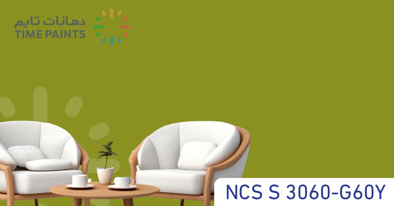 NCS S 3060-G60Y