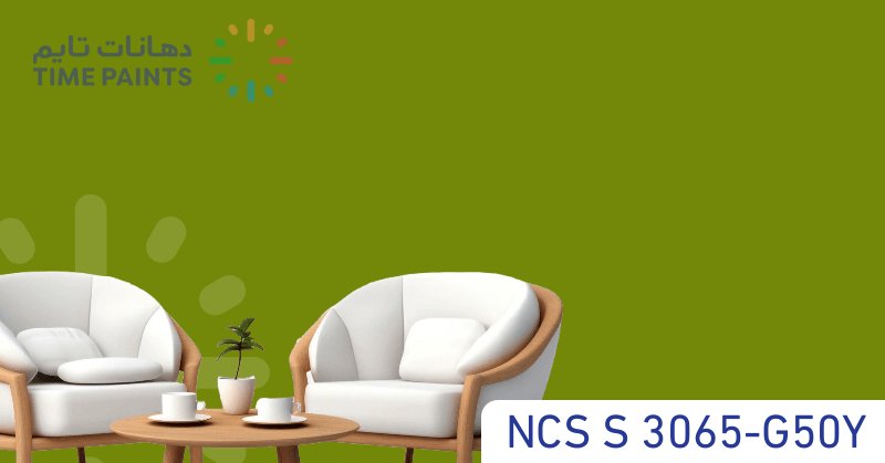 NCS S 3065-G50Y