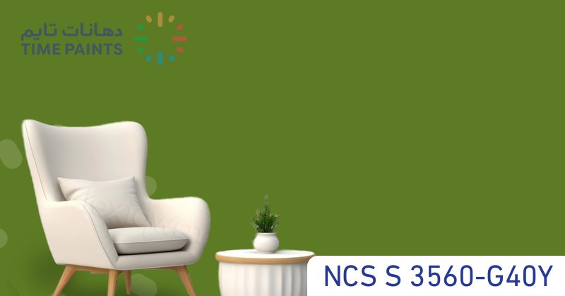 NCS S 3560-G40Y