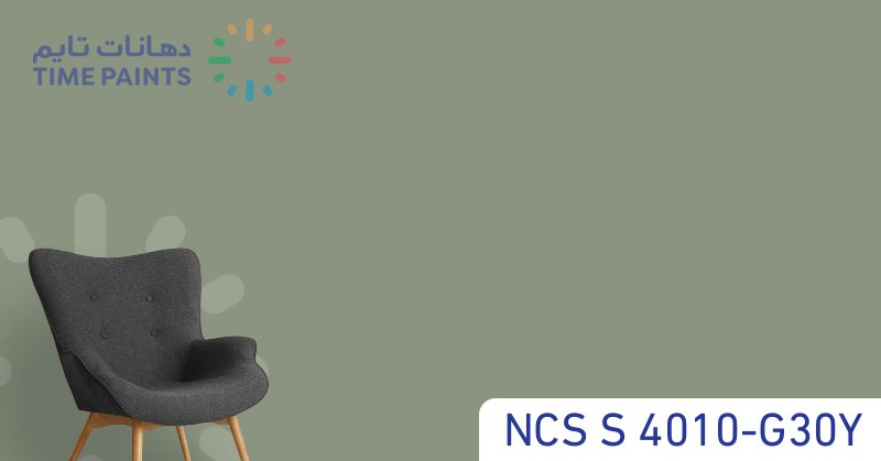 NCS S 4010-G30Y
