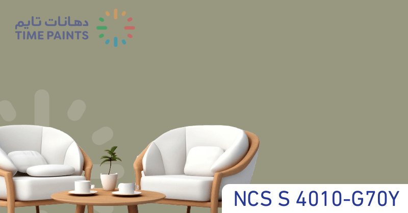 NCS S 4010-G70Y