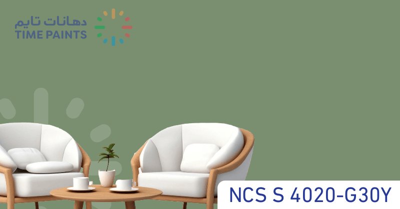 NCS S 4020-G30Y