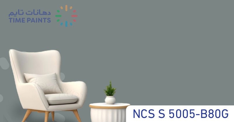 NCS S 5005-B80G