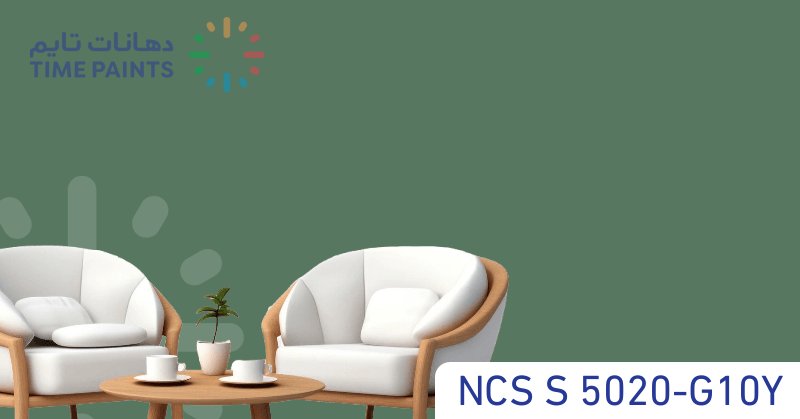 NCS S 5020-G10Y