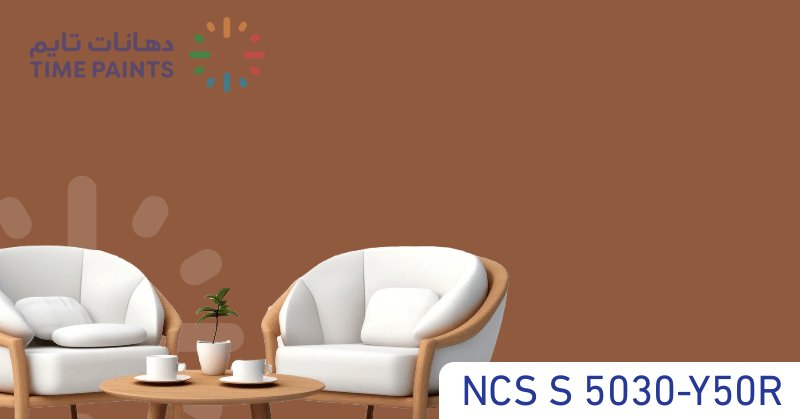 NCS S 5030-Y50R