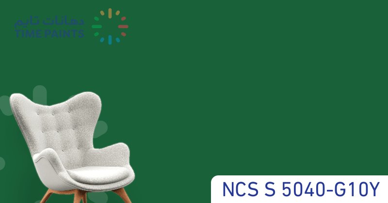 NCS S 5040-G10Y
