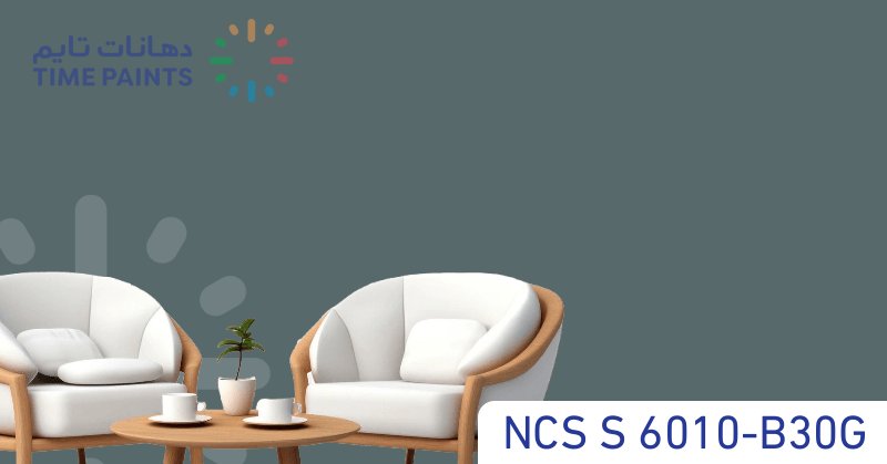 NCS S 6010-B30G