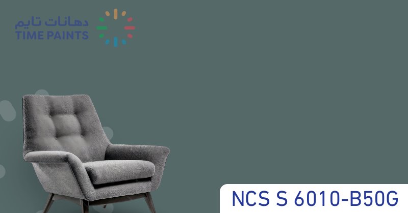 NCS S 6010-B50G