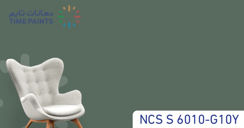 NCS S 6010-G10Y