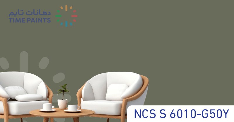 NCS S 6010-G50Y
