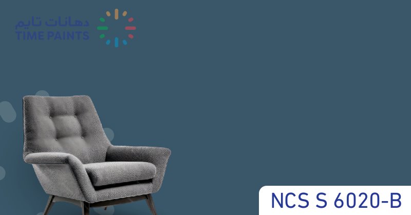 NCS S 6020-B