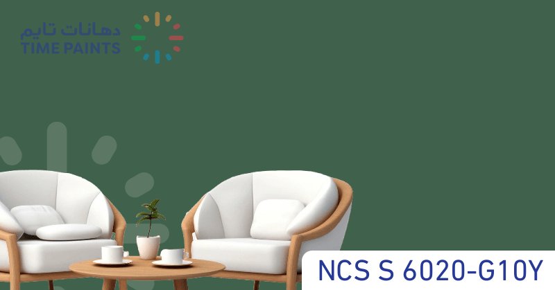 NCS S 6020-G10Y
