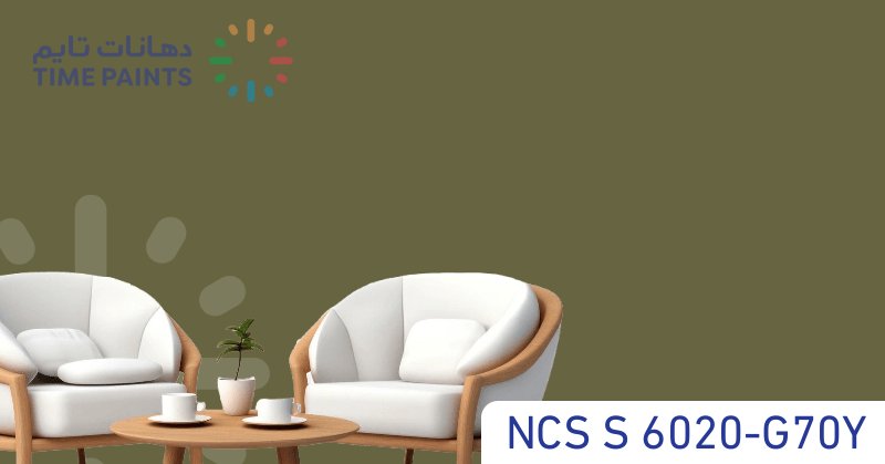 NCS S 6020-G70Y