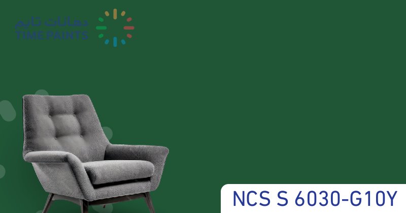 NCS S 6030-G10Y