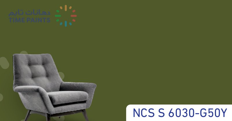 NCS S 6030-G50Y