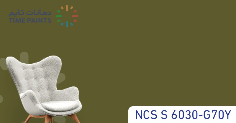 NCS S 6030-G70Y