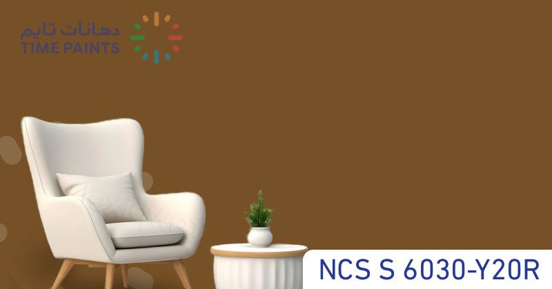 NCS S 6030-Y20R