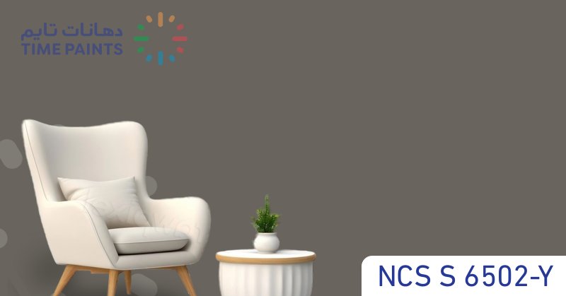 NCS S 6502-Y